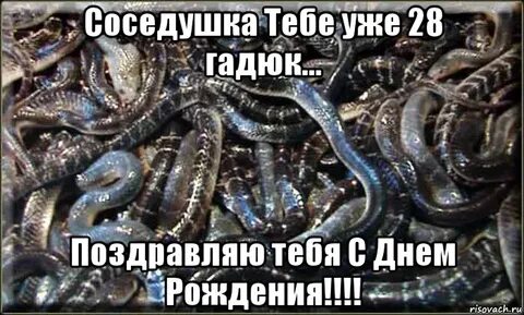 Жена гадюка