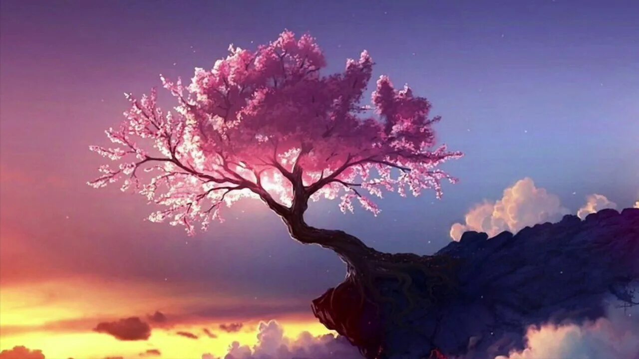 20. сакура харуно и наруто. сакура 1. сакура харуно. 2.