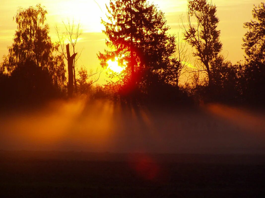 золотилось солнце на востоке за тума