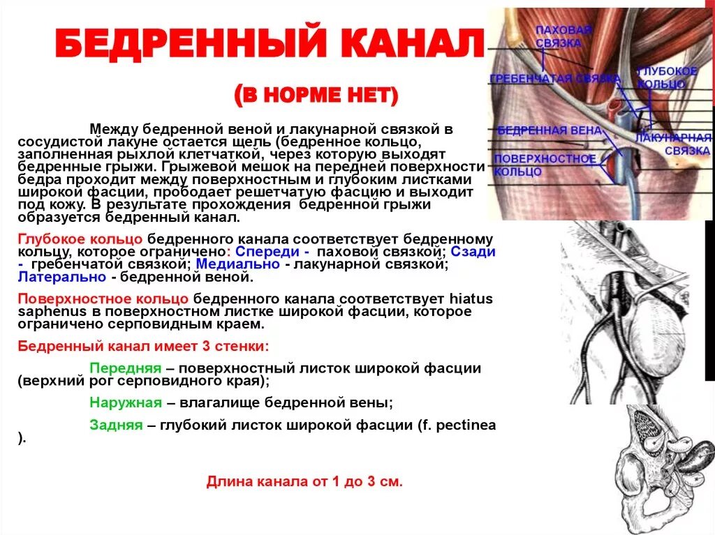 Каналы связку
