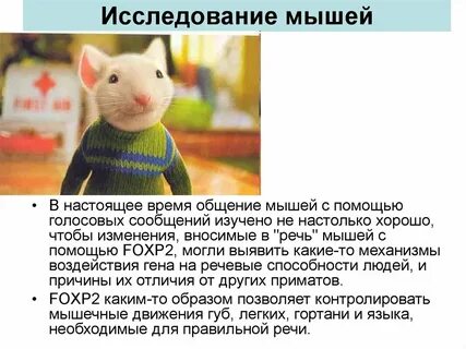 Мышь речь