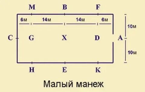 Буквы в манеже