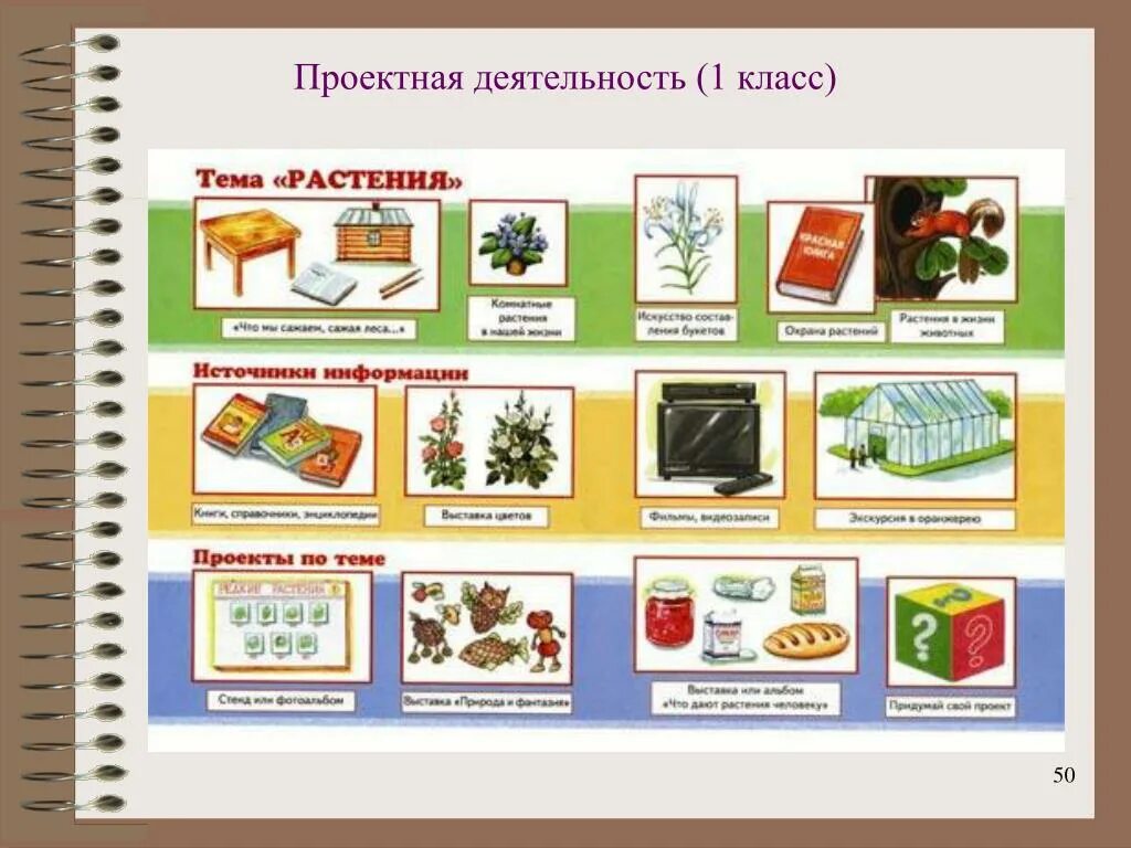 Темы проектной деятельности. Проектная деятельность 1 класс. проектная работа на тему. проектная работа 1 класс темы. темы проектов для начальной школы.