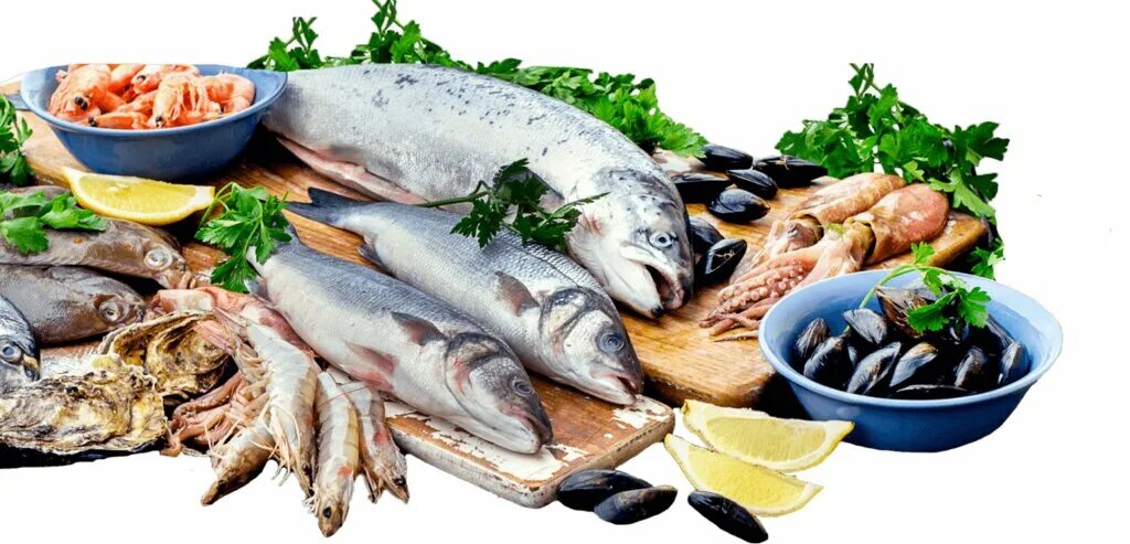 Fish product. Морепродукты. Морепродукты на белом фоне. Рыба в ассортименте. Рыбные продукты.