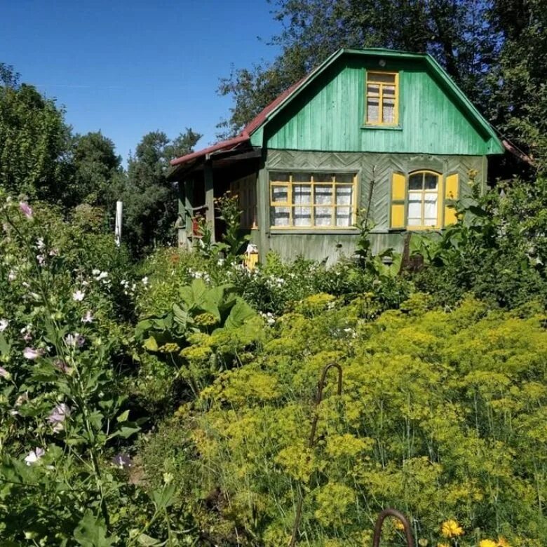 На даче. Старая дача. Польские дачи. Продается дача. Купить дачу горный