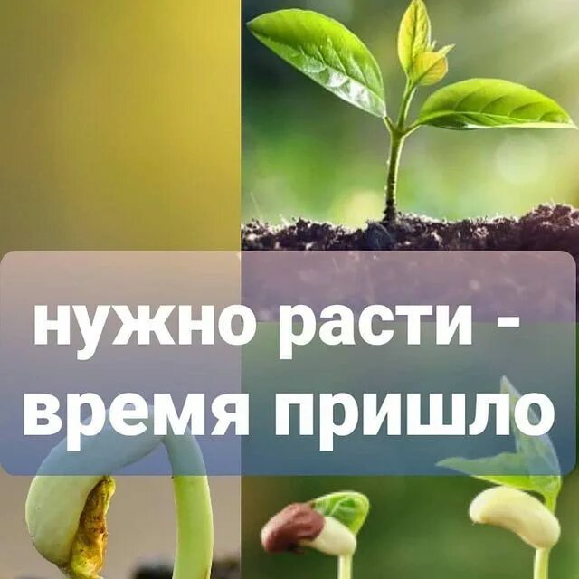 в ногу со временем картинки. кем хотите стать. пришло время забыть этот ужасный год картинка. мемы про жизнь боль. придёт время когда ты решишь что всё конечно.