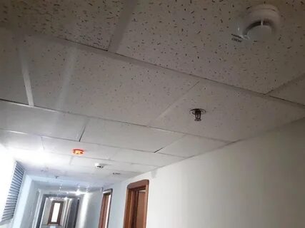 Тест зеленоград
