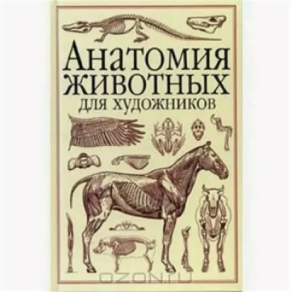 Акаевский юдичев селезнев анатомия домашних животных. Акаевский анатомия домашних животных. Анатомия животных книги. Анатомия домашних животных юдичев. Анатомия животных зеленевский щипакин 2022.