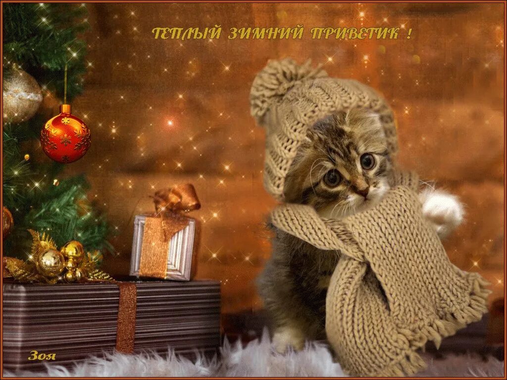 Добрый вечер зимний хорошего настроения мерцающие гифки. Уютного зимнего вечера. Доброго зимнего вечера. Доброго морозного вечера. Добрый вечер зима.