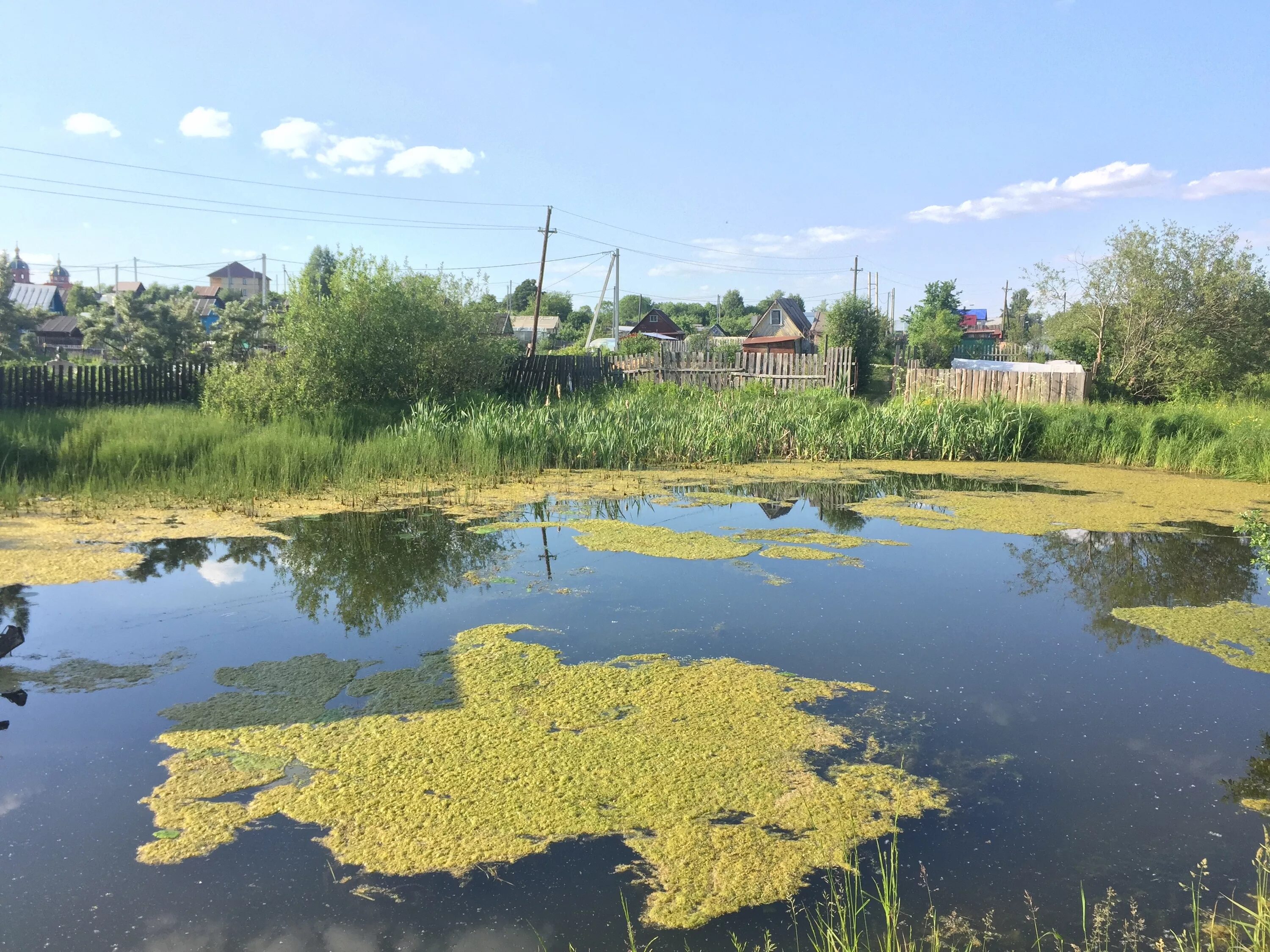 пруды в кирове. чистые пруды киров. сквер солнечная люльченка киров. пруды города кирова. киров река люльченка золото.