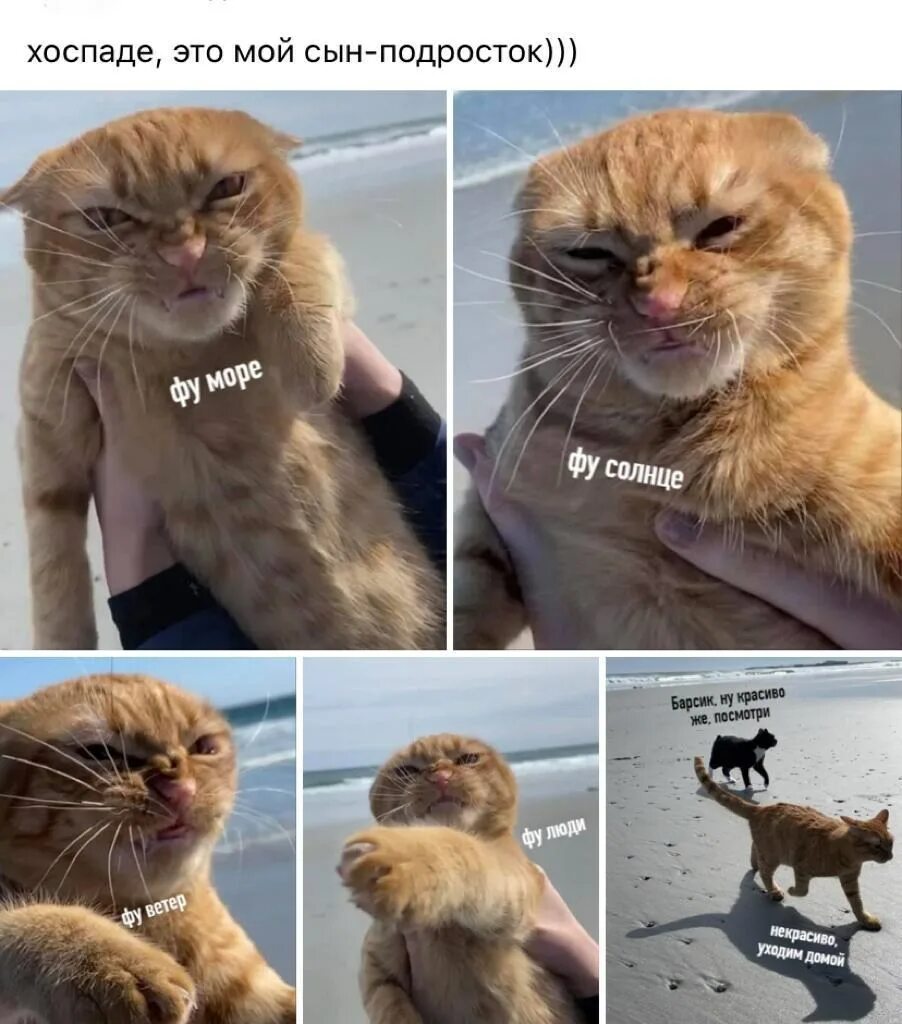Тогда уходи домой