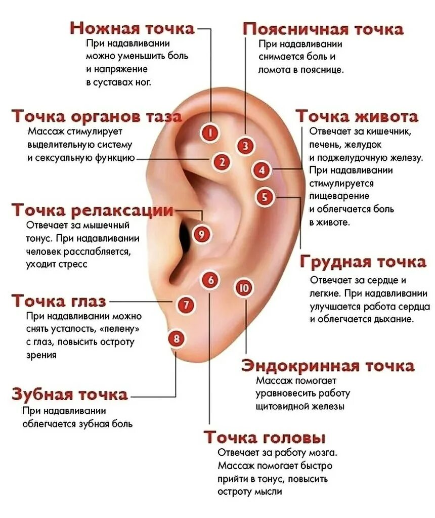 Какую точку надо выбрать васе