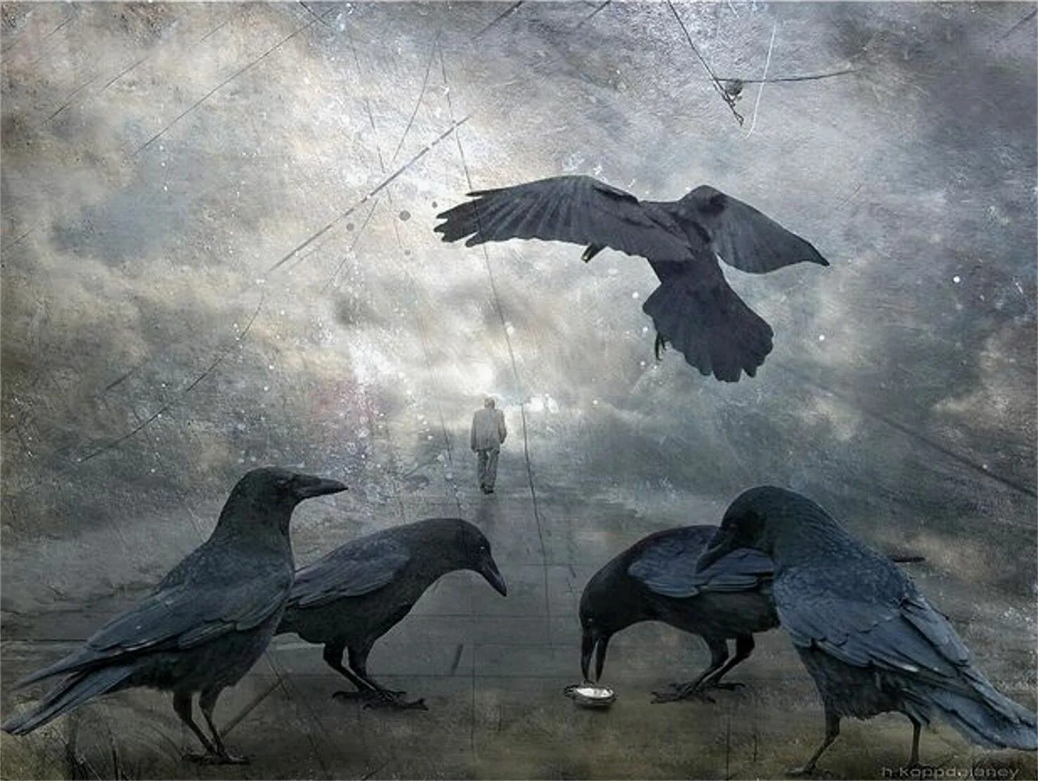 Черный ворон кружит. Над чучелом летают вороны. Вороны на рассвете. Черные вороны кружат. Кружатся вороны песня.