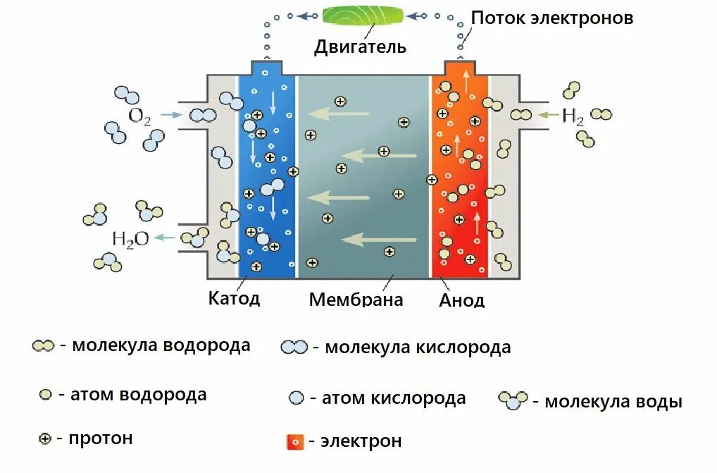 Водородный модуль. Схема топливной ячейки. Водородный Генератор принцип работы схема. Водородно-кислородный топливный элемент. Принцип работы топливного элемента.