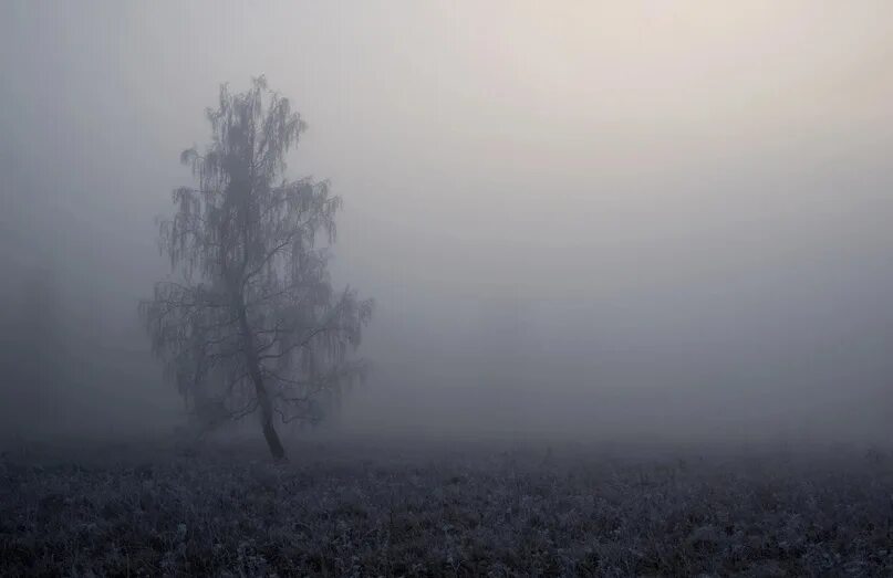 Природные явления туман. Мрачное поле в тумане. Город в тумане фото. Густой туман на дороге. Сильный туман.
