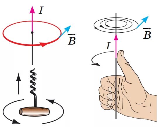 Направление вектора магнитной индукции правило буравчика. Правило правого винта для магнитной индукции. Вектор магнитной индукции правило буравчика. Правило правого буравчика для магнитного поля. Правило буравчика физика 8