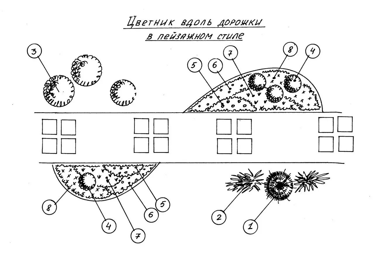 Схемы посадка цветов. Схема миксбордера вдоль дорожки. Бордюр цветник схема. Схема посадки пионов вдоль дорожки. Схема посадки рабатки.