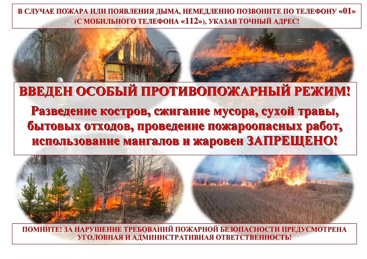 Когда заканчивается противопожарный режим в красноярске. Памятки по особому противопожарному режиму. Когда заканчивается противопожарный режим в красноярске. Особый противопожарный режим. Особый противопожарный режим в днр.