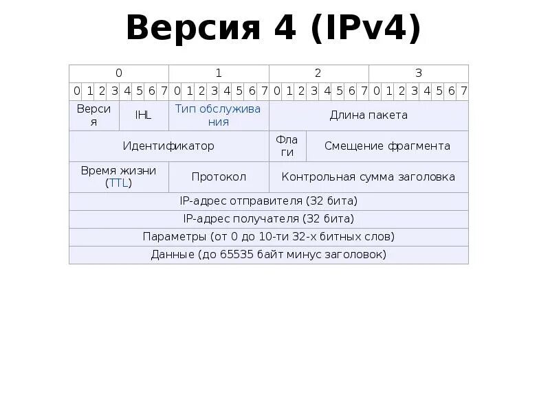 Ipv4 компьютера. Структура ipv4 протокола. Структура IP пакета ipv4. Протоколы ipv4 и ipv6. Структура пакетов ipv4 и ipv6.