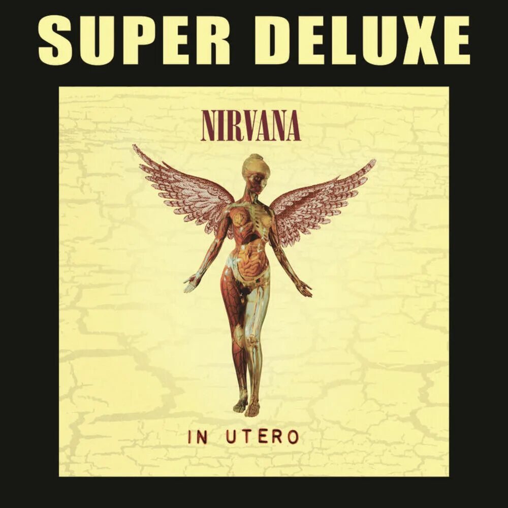 Как называется последний альбом. Nirvana "in utero". Нирвана обложка in utero. Nirvana in utero 1993. Nirvana in utero обложка альбома.