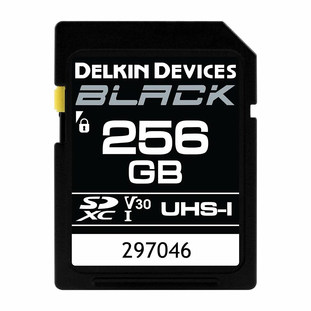 Uhs 3 память. Delkin devices Black SDXC 64gb UHS-I v30. SDHC UHS-II. UHS-I, u3, v30. SD Card 256 GB.