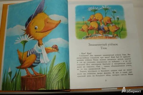 Найти тебя текст тима