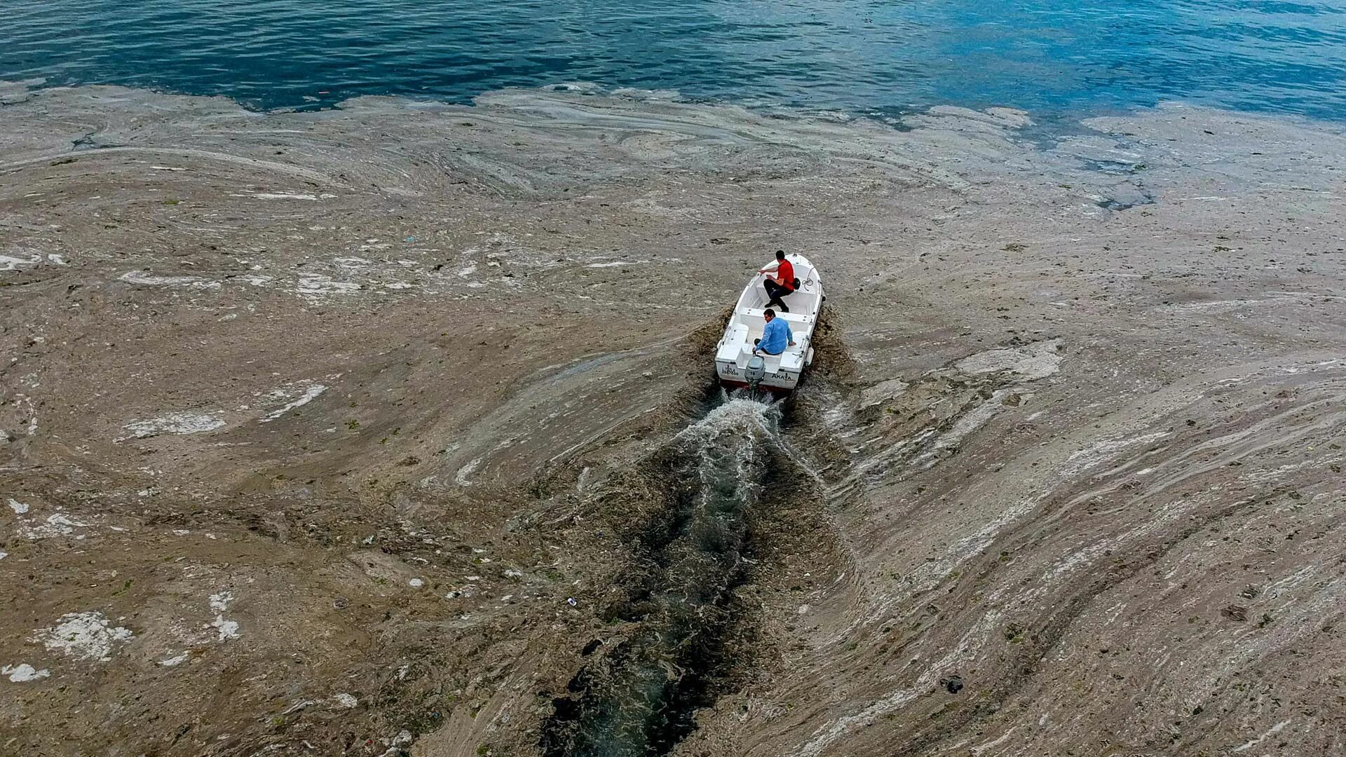 Почему мелеет море. Слизь в турции море. мраморное море катастрофа. мраморное море в турции. загрязнение моря в турции.