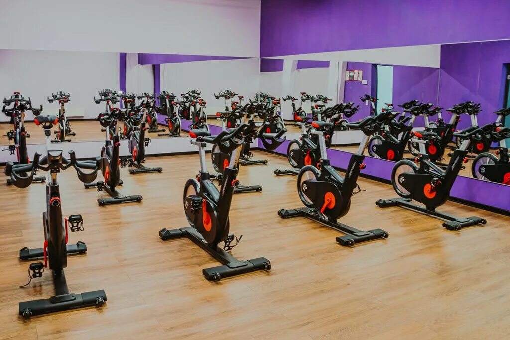 Фитнес клуб эго королев. Эго фитнес. Ego fitness королев. Королёв дельфин фитнес клуб пионерская. Фитнес эго королев пионерская.