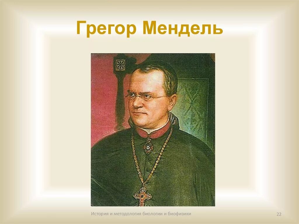 Грегор иоганн мендель (1822-1884). Грегор мендель генетика. Грегор мендель биология. ). Грегор иоганн мендель вклад в биологию.