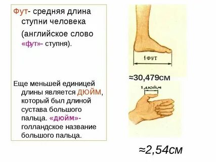 60 футов это сколько