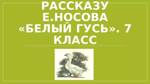 Носов гусь читать. Е Носов белый Гусь. Носов белый Гусь вопросы.