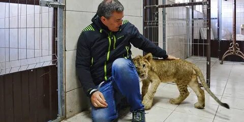 Питомцы в москве