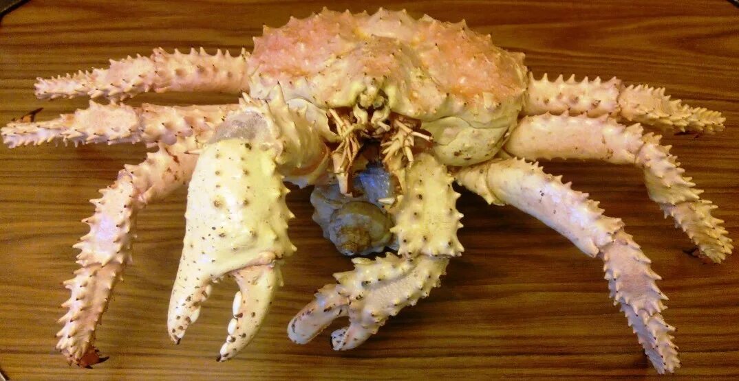 Крабы челябинск. Дип Crab краб 150 мл. Сувениры из краба. Сувениры из краба Камчатского. Камчатский краб сувенир.