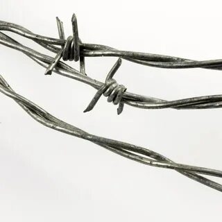 Покажи проволоку