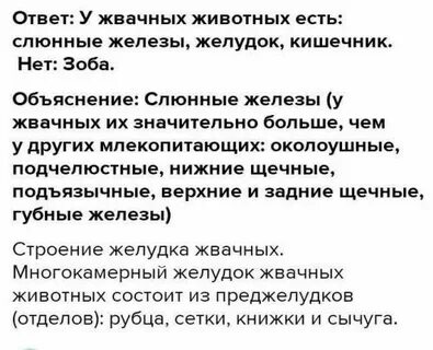 Используя содержание текста особенности пищеварительной системы жвачных