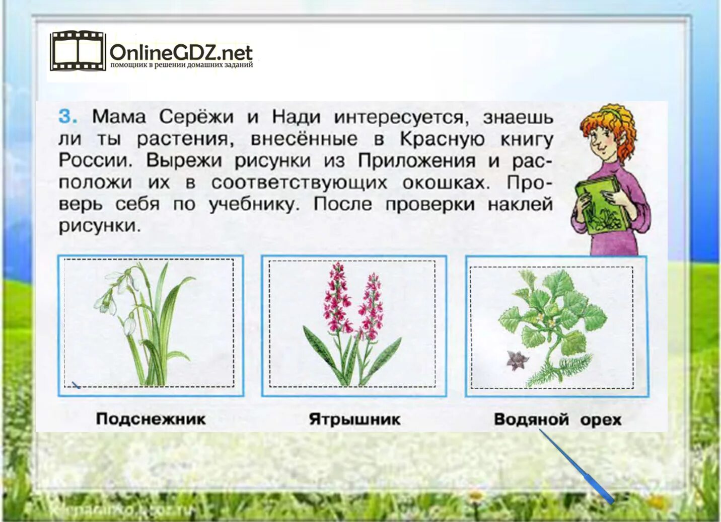 Мир растений окружающий мир 3. Охрана растений 3 класс окружающий мир Плешаков. Мама Серёжи и Нади интересуется знаешь ли. Плешаков темы с растениями. Текст если вы будете внимательно рассматривать цветы