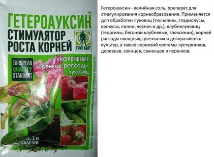 Самые лучшие условия для корнеобразования растений туман