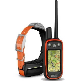 Gps ошейник охотничий