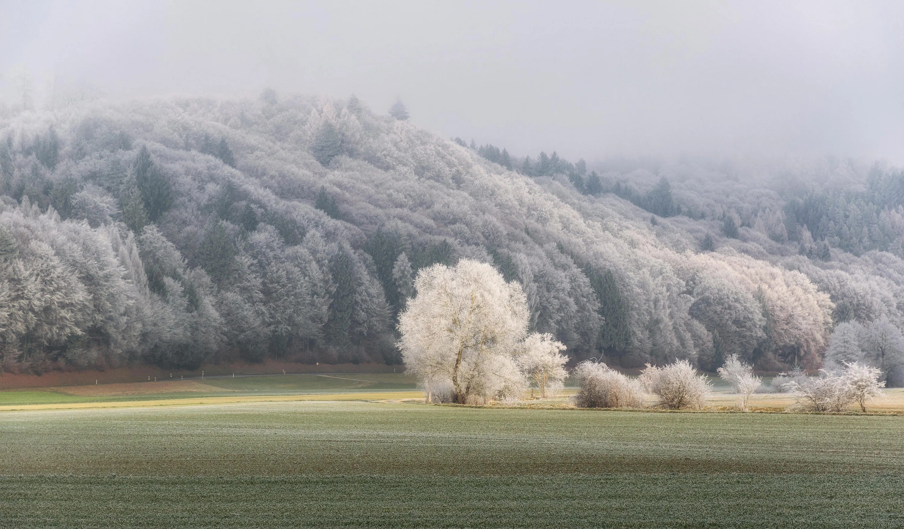 Frost cloud