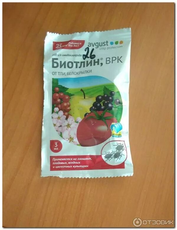 Самое эффективное средство от тли. Самое эффективное средство от тли