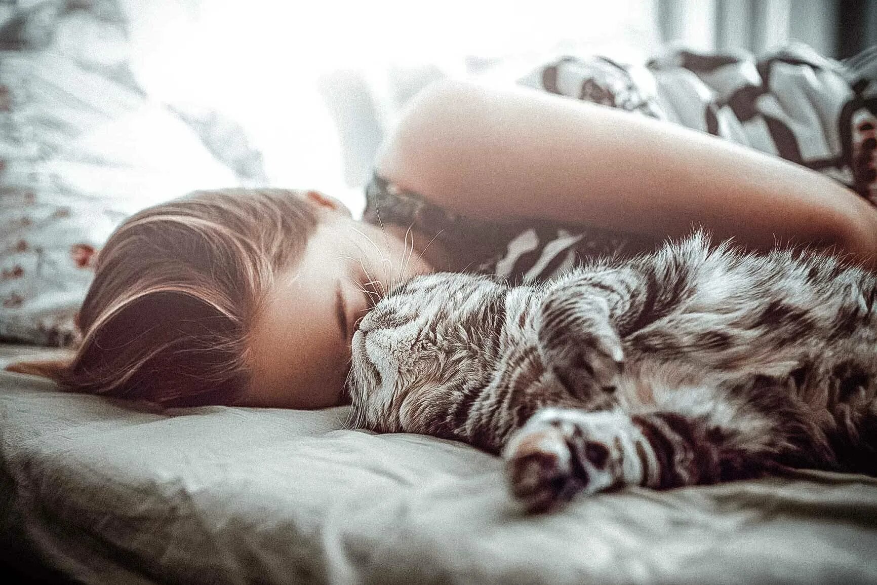 Фотосессия с котом. Сон кот девушке. Сон кот девушке. Кот спит. Кот лежит на девушке.