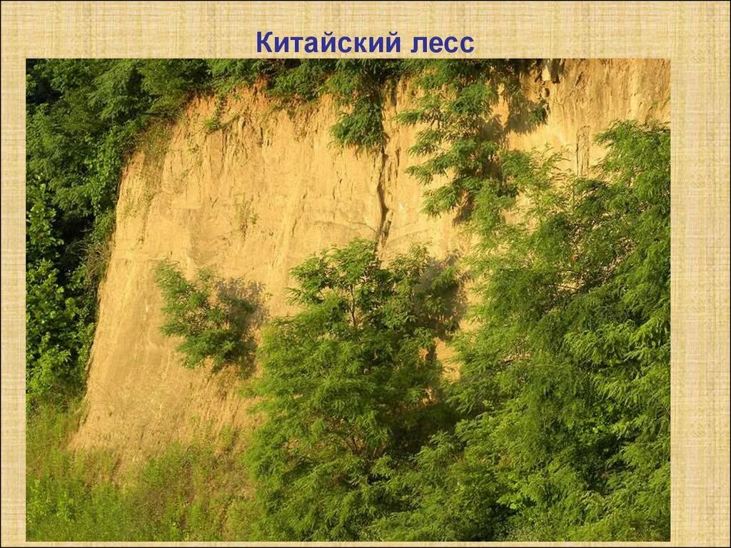 Сайт лесс. Лессовидные суглинки. Лесс минерал. Лессовые грунты в россии. Лёссы и лёссовидные породы.