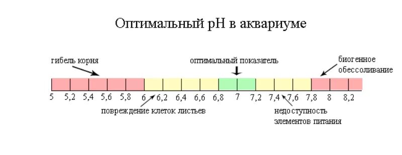 PH воды в аквариуме норма. Норма кислотность аквариумной воды. PH таблица кислотности для аквариума. Показатель PH воды в аквариуме норма