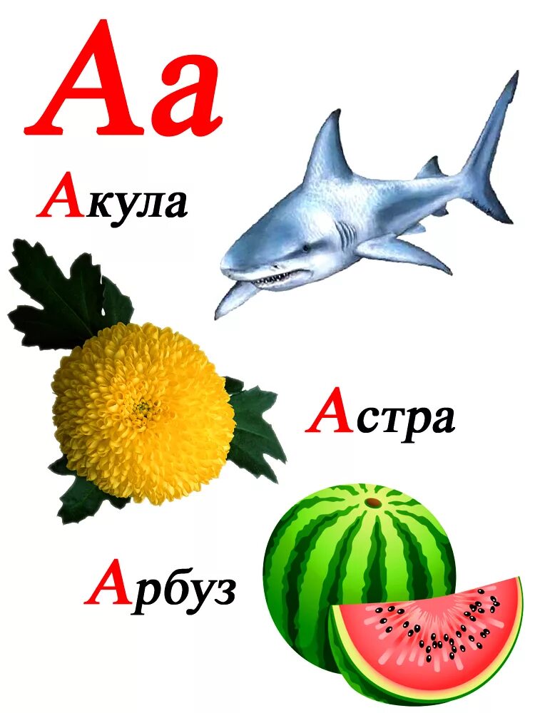 Буква а. Буква а картинка. Картинки со словами для детей. "Буквы и слова". Ласковое на букву а