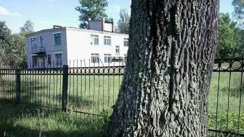 Шибенец брянская область