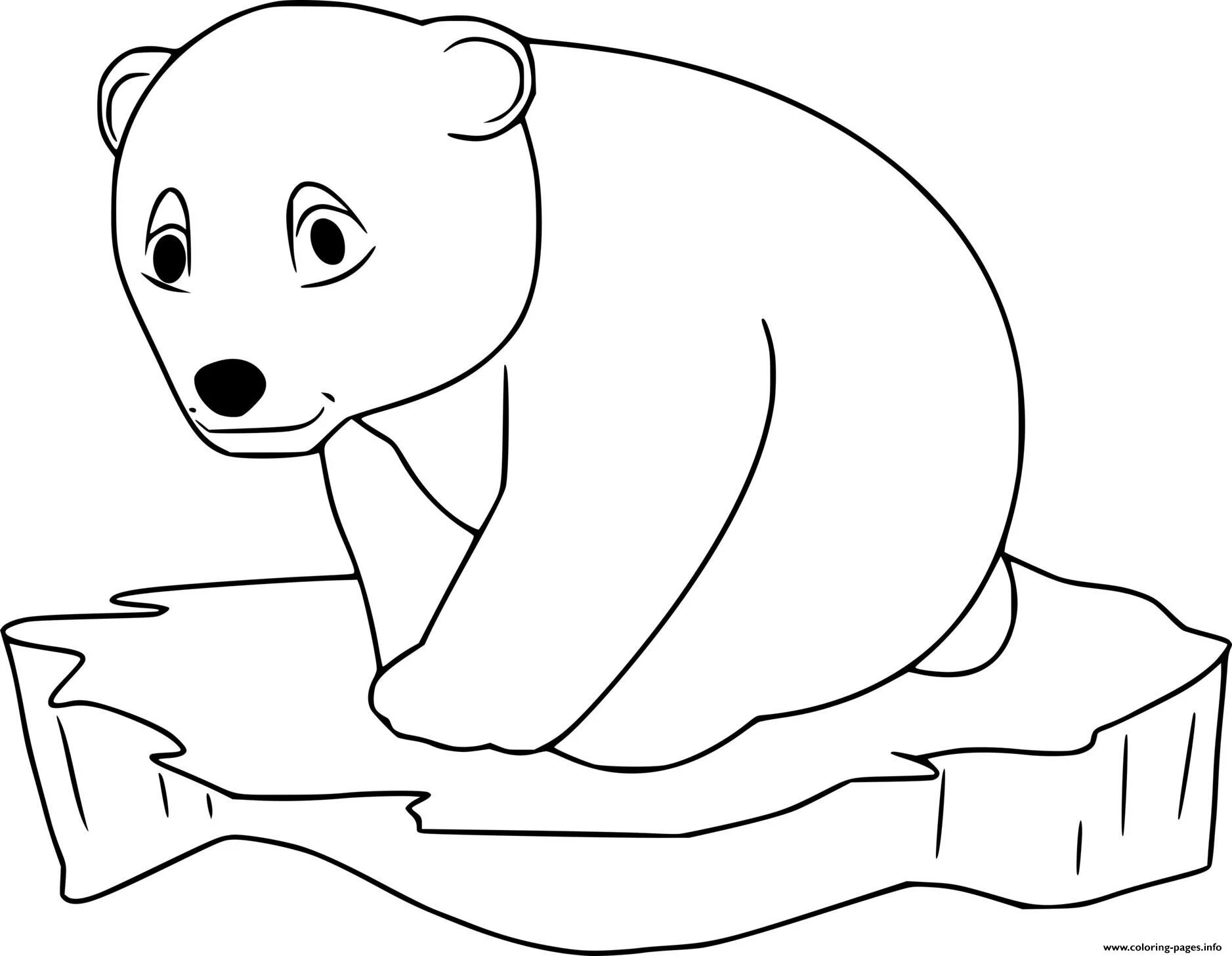 How To Draw Polar Graphs - Release Date Price Reviews