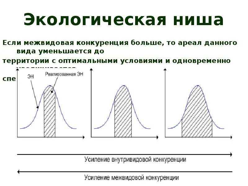 Двухмерная экологическая ниша. Емкость экологической ниши. Схема экологических ниш. Модель экологической ниши. Потенциальная ниша