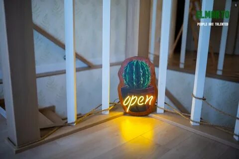 Кактус интернет девяткино