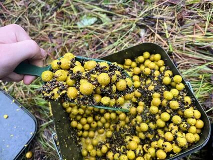Нут на карпа как приготовить для рыбалки