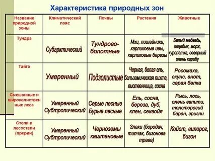 Характеристика природных зон конспект